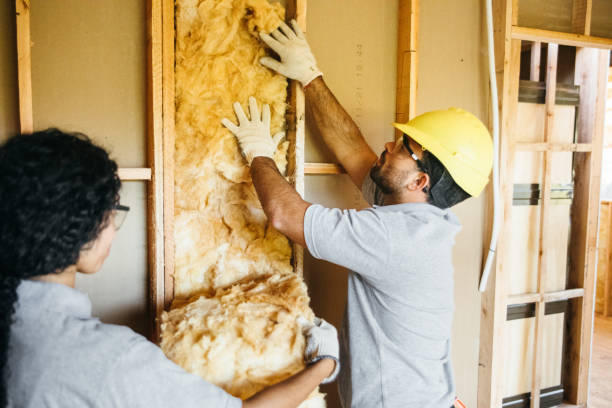 Professional Insulation Contractor in Loop, PA