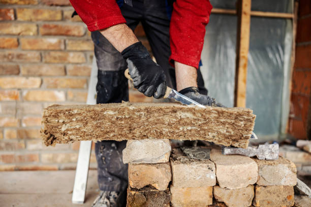 Best Insulation Removal  in Loop, PA